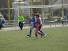 _DSC0277 [HDTV (720)]
